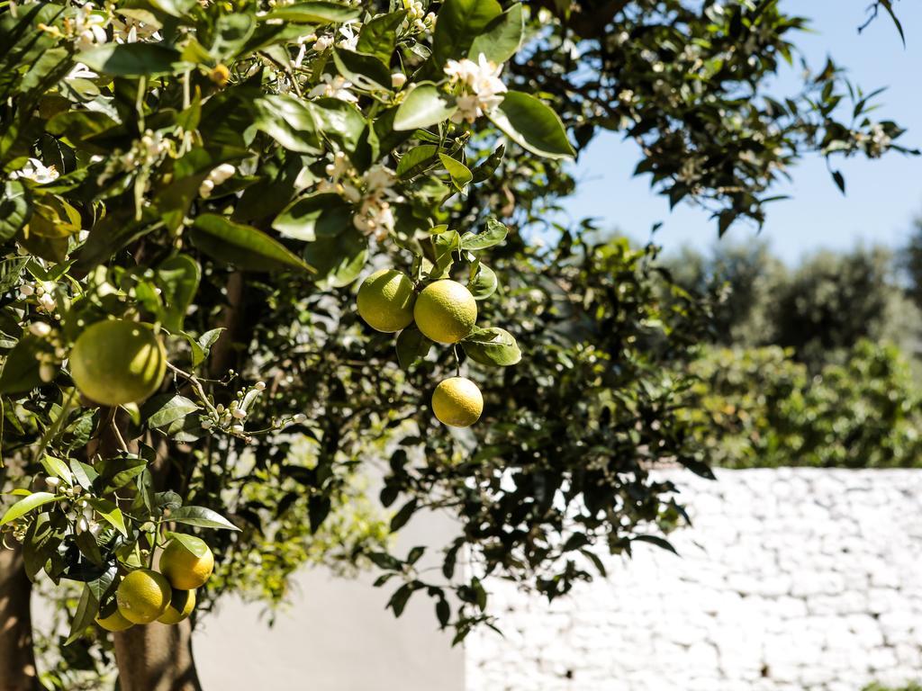La Collina Degli Ulivi Leilighet Fasano Eksteriør bilde
