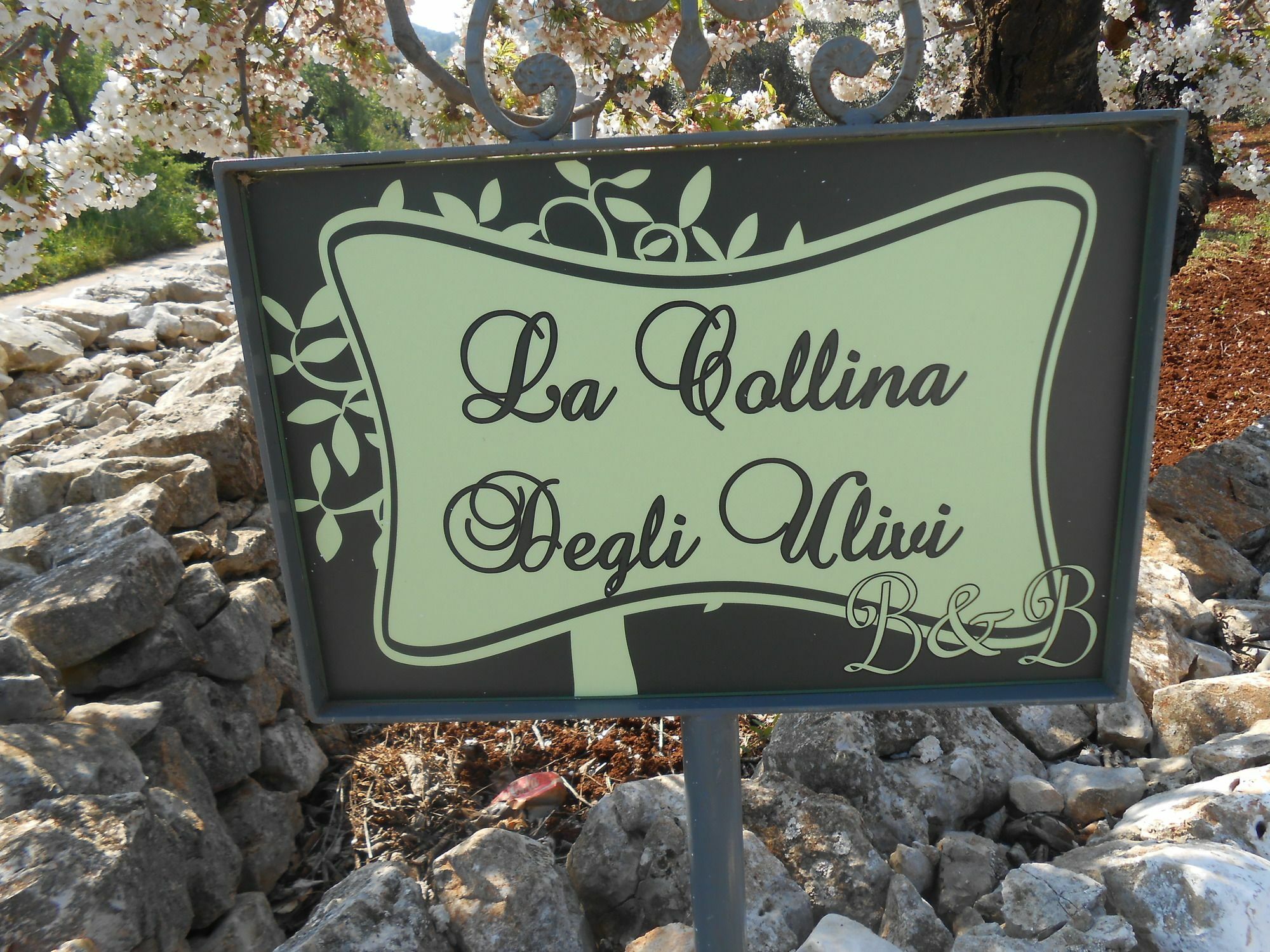 La Collina Degli Ulivi Leilighet Fasano Eksteriør bilde